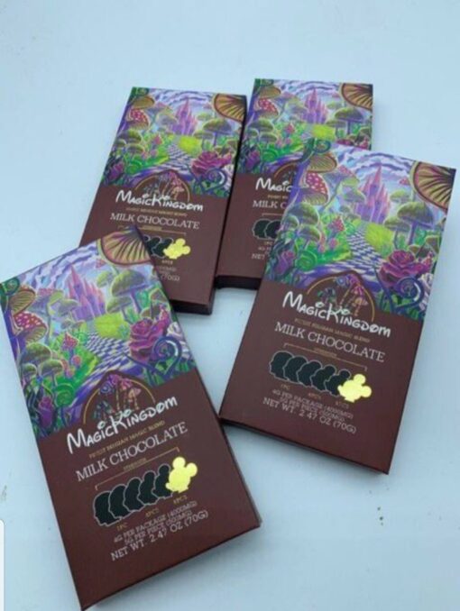 Magic Kingdom Chocolate Bars